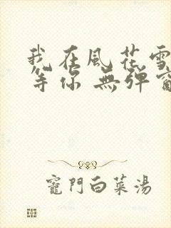我在风花雪月里等你 无弹窗