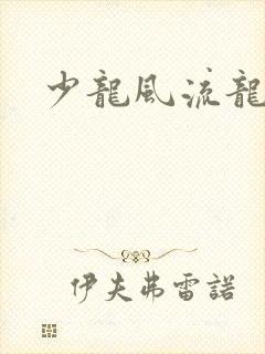 少龙风流龙剑飞
