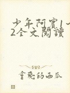 少年阿宾1～72全文阅读封面