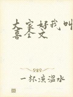 大家好我叫林小喜全文封面