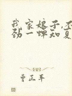 我家娘子,不对劲一蝉知夏下载