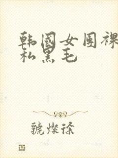 韩国女团裸体露私黑毛封面