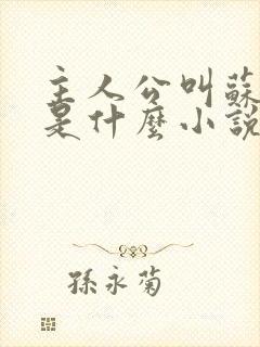 主人公叫苏洛的是什么小说