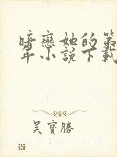 暗恋她的第十一年小说下载