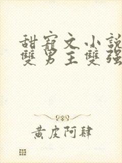 甜宠文小说推荐双男主双强