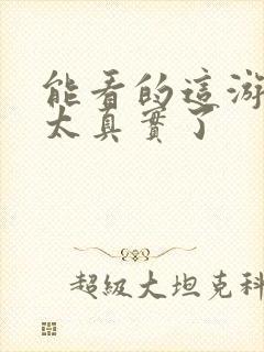 能看的这游戏也太真实了