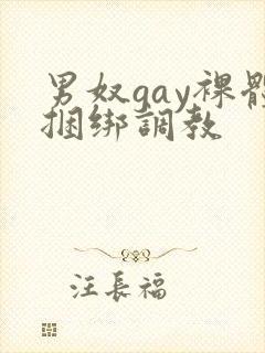男奴gay裸体捆绑调教
