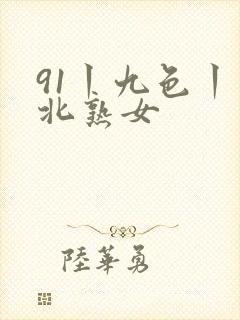 91丨九色丨东北熟女