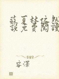 苏夏林依然的小说免费阅读