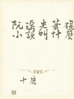 阮瑶光萧砚风的小说叫什么