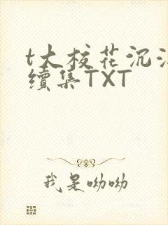 t大校花沉浮录续集TXT