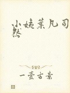 小姨叶凡司徒嫣然封面