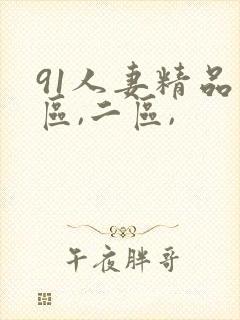 91人妻精品一区,二区,