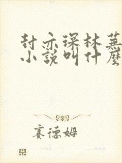 封亦琛林芜容辞小说叫什么名字