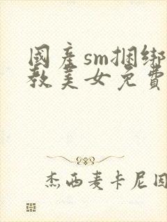 国产sm捆绑调教美女免费视频封面