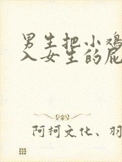 男生把小鸡鸡插入女生的屁股里视频