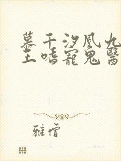 慕千汐凰九夜邪王嗜宠鬼医狂妃免费阅读