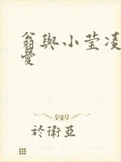 翁与小莹凌晨欢爱封面