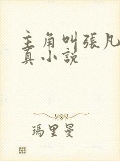 主角叫张凡的修真小说