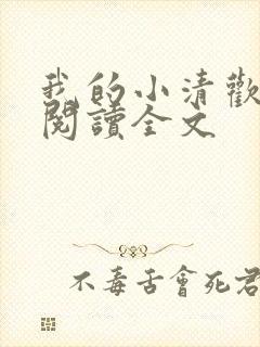 我的小清欢阅读阅读全文