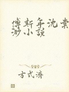 傅斯年沈棠音秦渺小说封面