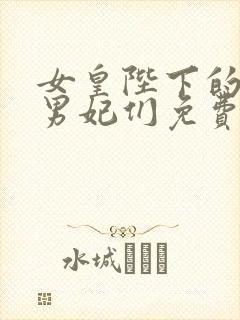 女皇陛下的绝色男妃们免费阅读