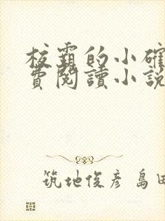 校霸的小确幸免费阅读小说