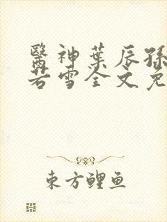 医神叶辰孙怡夏若雪全文免费阅读封面