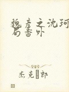 魏彦之沈珂大结局番外