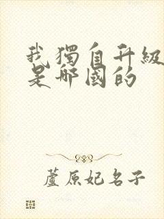 我独自升级漫画是哪国的