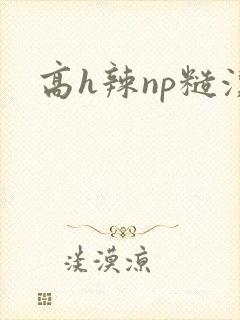 高h辣np糙汉