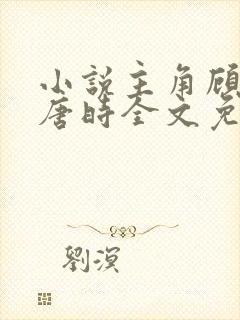 小说主角顾倾城唐时全文免费阅读封面