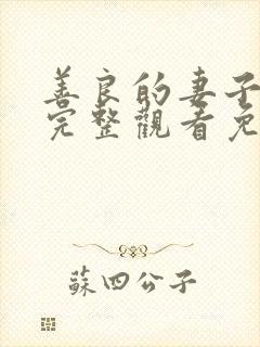 善良的妻子在线完整观看免费高清电影