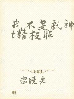 我不是戏神txt精校版