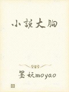 小说大胸