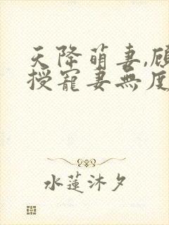 天降萌妻,顾教授宠妻无度封面