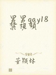 男男gay18禁视频