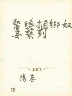 紧缚捆绑奴隶人妻系列封面