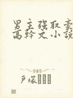 男主强取豪夺的高干文小说推荐