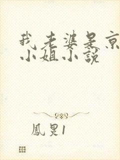 我老婆是京圈大小姐小说
