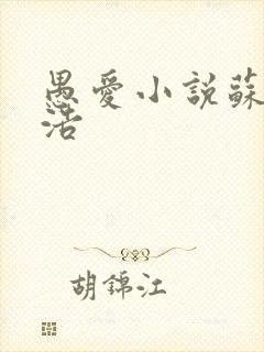 愚爱小说苏倩孙浩封面