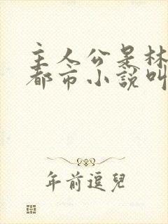 主人公是林风的都市小说叫什么