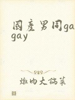 国产男同gaygay