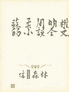 苏柔周明权林风的小说全文