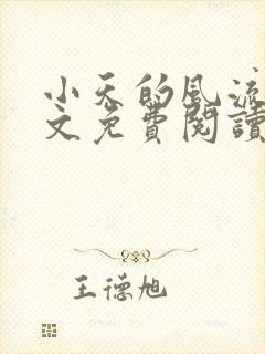 小天的风流史全文免费阅读最新章节