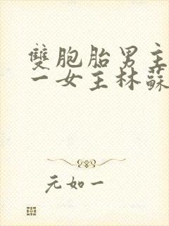 双胞胎男主共享一女主林苏