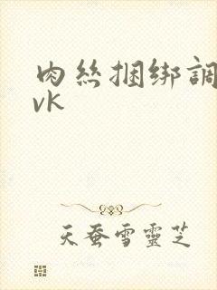 肉丝捆绑调教丨vk