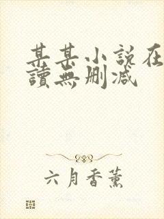 某某小说在线阅读无删减