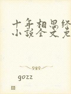 十年相思终成空小说全文免费阅读