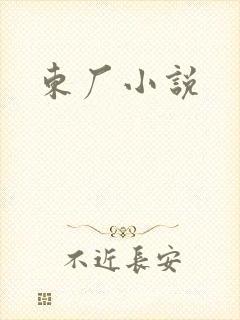 东厂小说